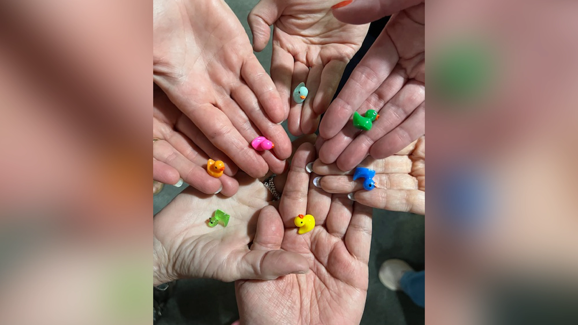 Pittsburgh Unified Auditions - Show Art Six hands, each holding a tiny, colorful rubber duck, form a circle—like performers at Curtain Rising or Pittsburgh Unifieds auditions. The blurred background keeps the focus on open palms and the small, vibrant ducks.