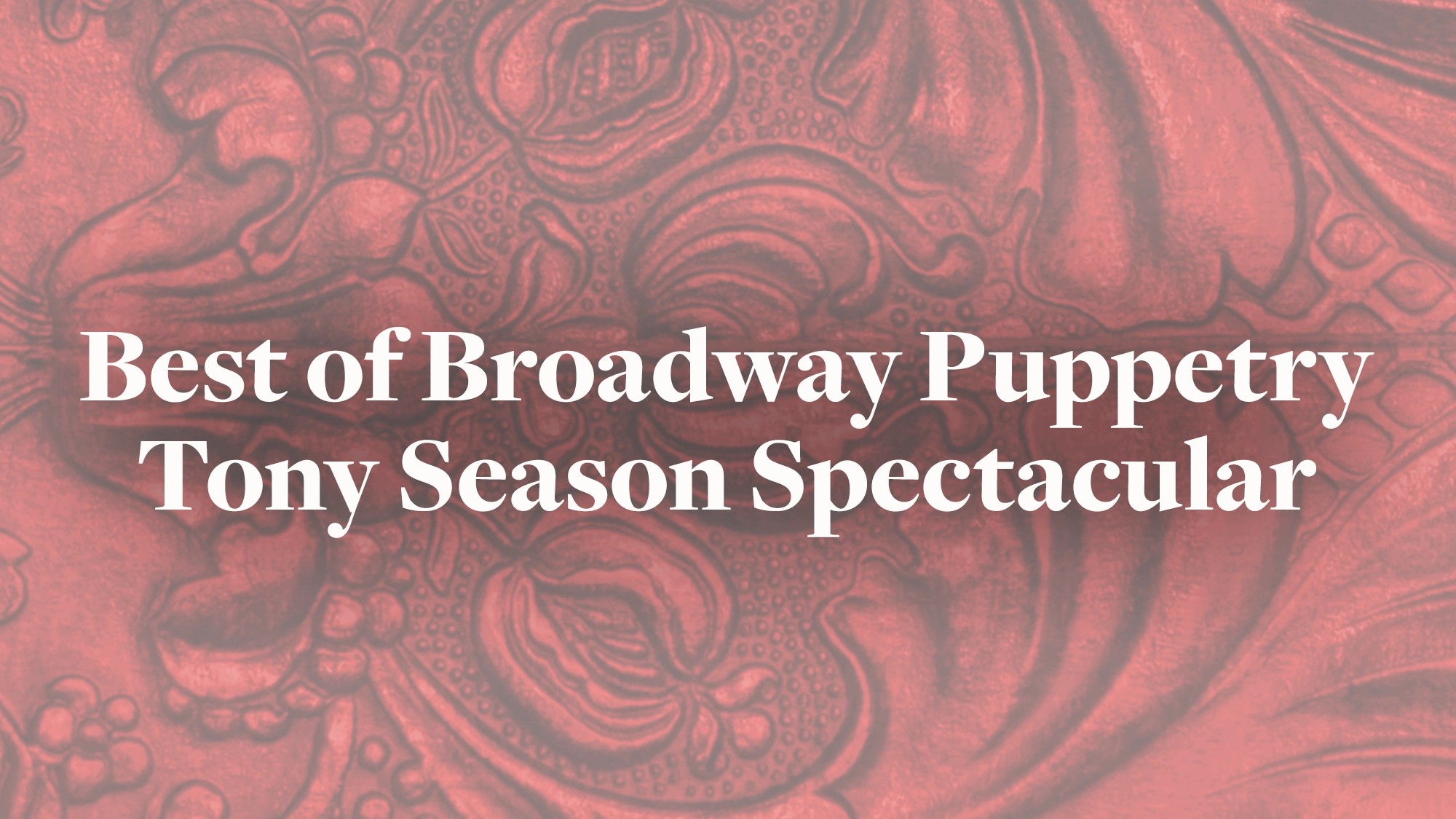 White bold text reading 