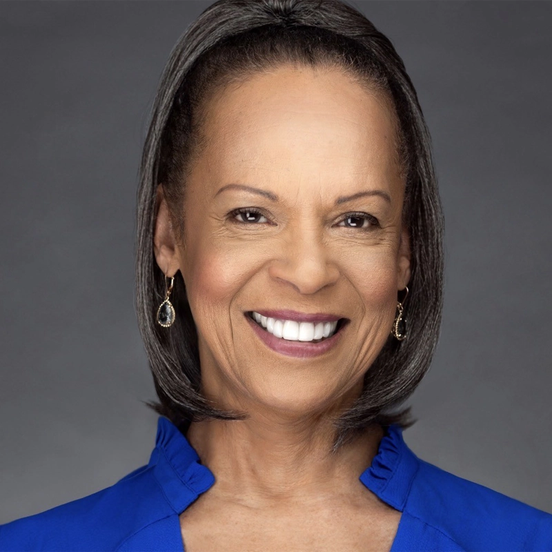 A middle-aged woman with medium brown skin and straight, shoulder-length dark hair smiles warmly. Terry Burrell wears drop earrings and a royal blue blouse with a ruffled collar, set against a plain gray background.