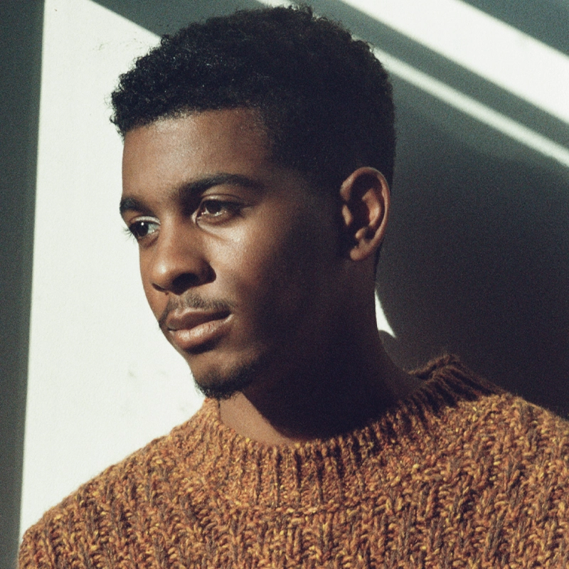 A young man with short curly hair and trimmed facial hair gazes thoughtfully to the side. He wears a chunky brown knitted sweater. Sunlight streams in, casting soft shadows and highlights across his face and the plain light-colored wall behind him.