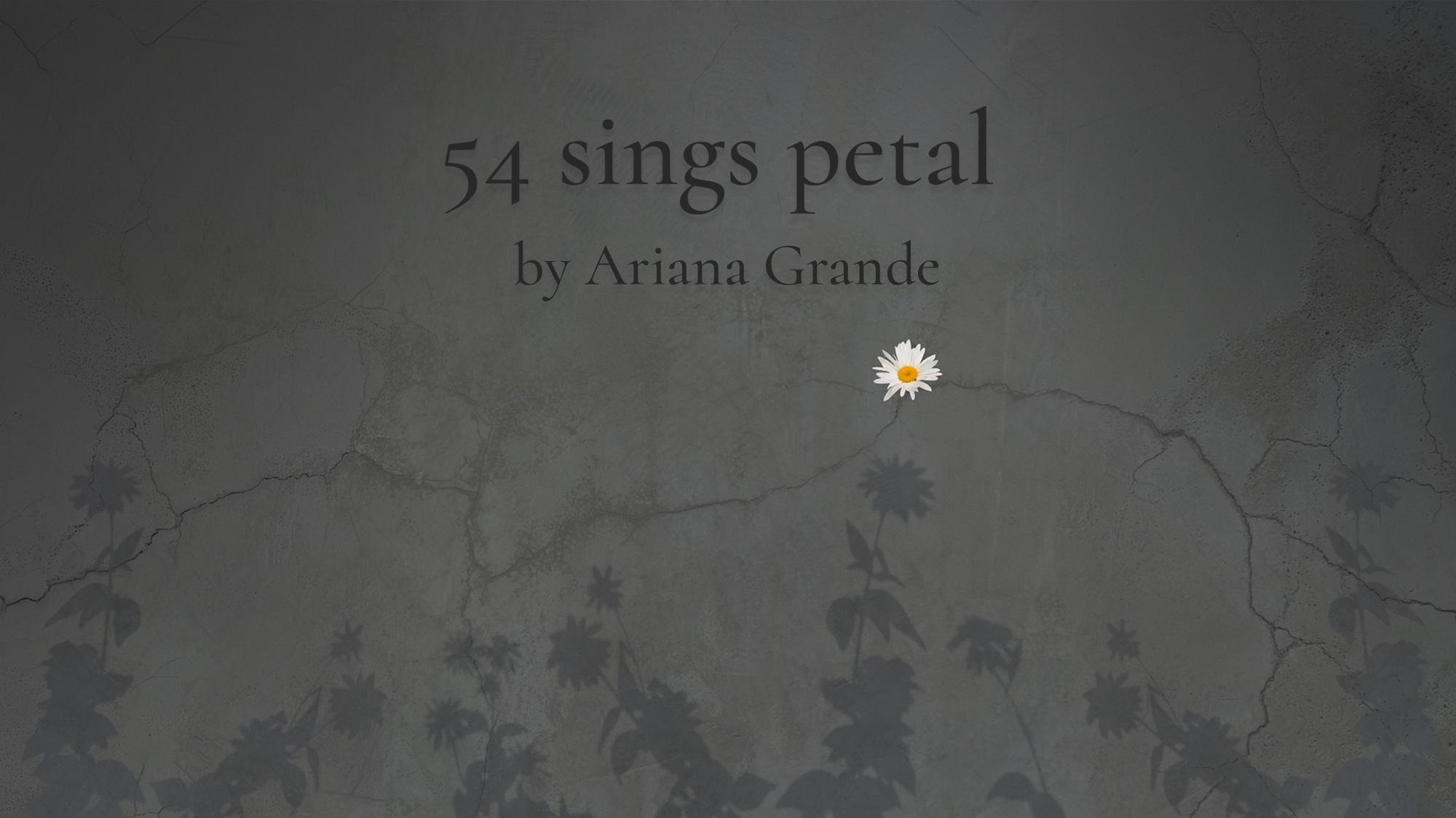 The text “54 Sings Petal by Ariana Grande” is centered against a dark, textured gray wall. Below the text, a single white daisy with a yellow center floats above the silhouetted shadows of several other daisies cast onto the wall.